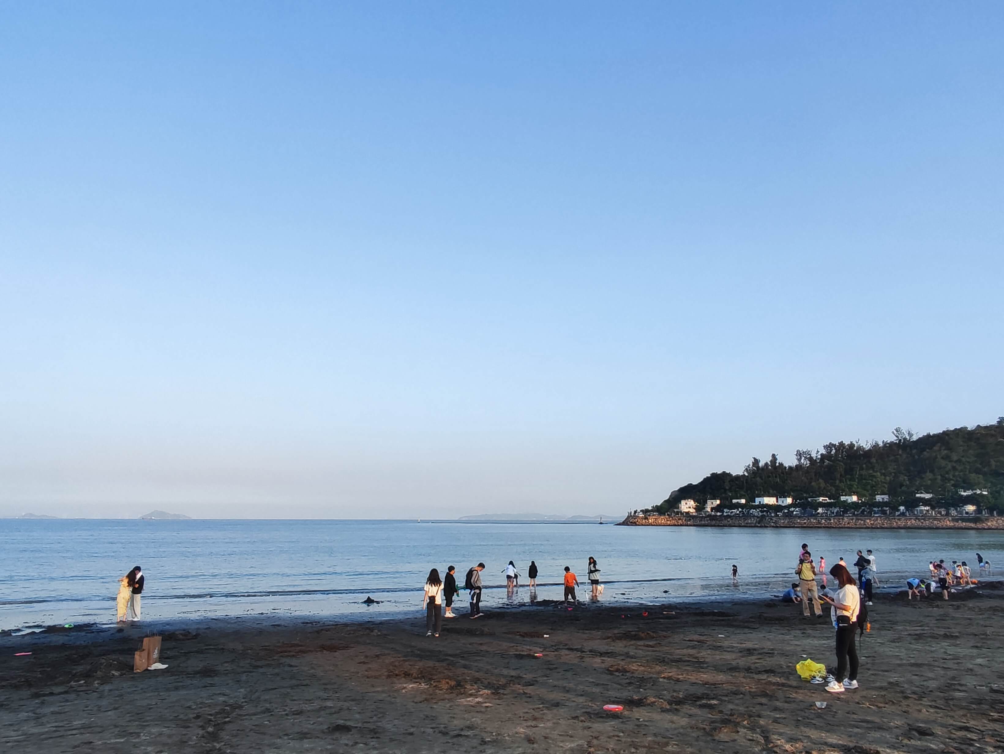 Cover Image of the Post